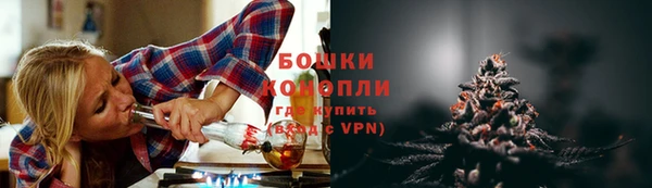 сатива Козловка