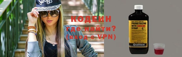 сатива Козловка