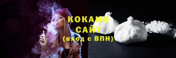 сатива Козловка