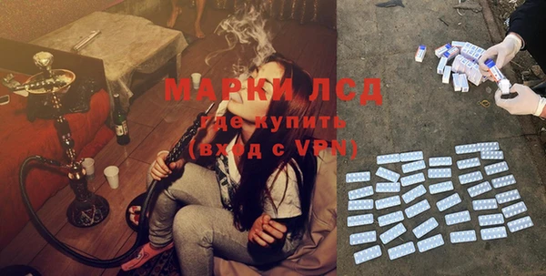 сатива Козловка