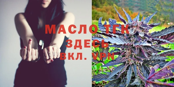сатива Козловка