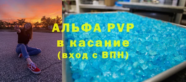PSILOCYBIN Болхов