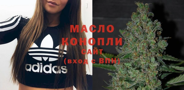 сатива Козловка