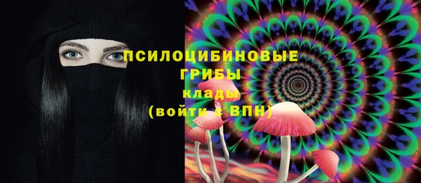 PSILOCYBIN Болхов