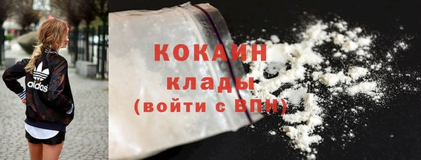 сатива Козловка